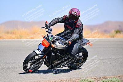 media/Aug-25-2024-2WTD (Sun) [[4221c16924]]/C Group/Session 3-Turn 12/